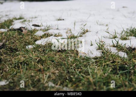 Ultimi momenti di neve sull'erba durante l inizio della primavera Foto Stock