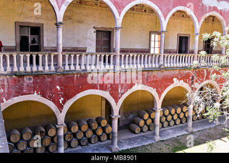 I derelitti e sbriciolamento Hacienda de Jaral de Berrio in Jaral de Berrios, Guanajuato, Messico. Il abbandonato Jaral de Berrio hacienda era una volta il più grande in Messico e ospitato oltre 6 mila persone sulla proprietà ed è accreditato con la creazione di Mescal. Foto Stock