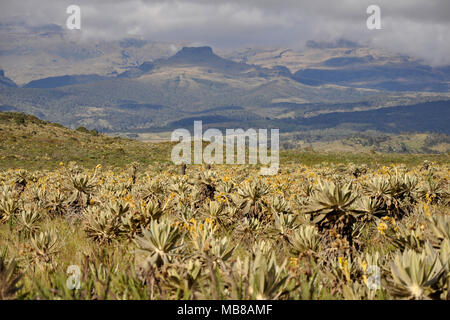 La Colombia, St Augustin, paesaggio Foto Stock