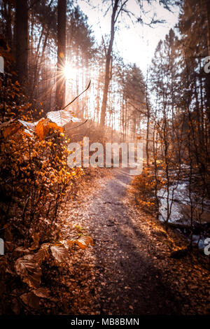 Inverno mattina nel Karlstal vicino Trippstadt Foto Stock