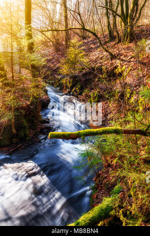 Inverno mattina nel Karlstal vicino Trippstadt Foto Stock