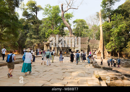 Cambogia i turisti a Ta Prohm tempio Angkor Sito Patrimonio Mondiale dell'UNESCO, Cambogia Asia Foto Stock