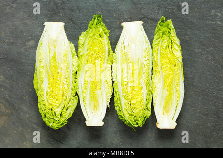 Freschi Gemma organica lattughe su un sfondo di ardesia Foto Stock