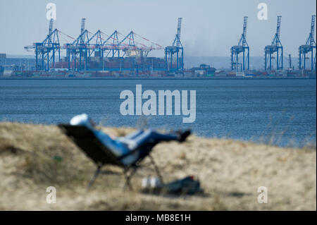 Deepwater Container Terminal in Gdansk, Polonia. 8 aprile 2018 © Wojciech Strozyk / Alamy Stock Photo Foto Stock