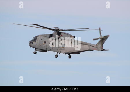ZH847, un AgustaWestland Merlin HM1 azionato dalla Royal Navy (Fleet Air Arm), presso l'Aeroporto di Prestwick in Ayrshire. Foto Stock
