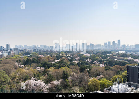 Vista aerea di Shinjuku Gyoen giardino in primavera, Shinjuku, Tokyo, Giappone Foto Stock