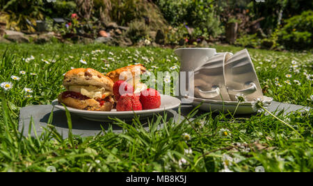 Natona CreamTea Day, Cornish Cream tè marmellata prima, Scone con marmellata di fragole e crema, deliziosi scones inglesi, giardino picnic Foto Stock