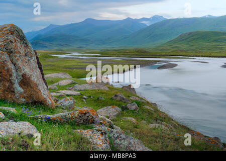 Rocce e licheni, Naryn gorge, Fiume, regione di Naryn, Kirghizistan Foto Stock