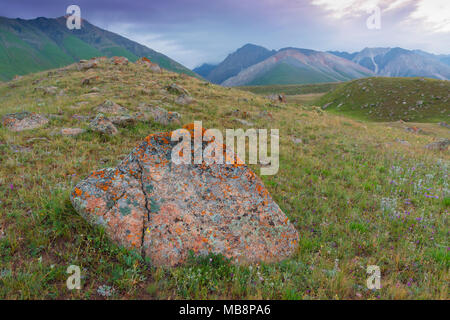 Rocce e licheni, Naryn gorge, Fiume, regione di Naryn, Kirghizistan Foto Stock