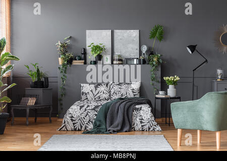 Fresche piante verdi poste in grigio scuro interiore camera da letto con dipinti moderni, il decor e la moquette Foto Stock