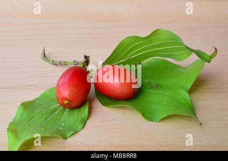 Due fresche, mature sanguinello bacche con foglie verdi su sfondo di legno, vista ravvicinata Foto Stock