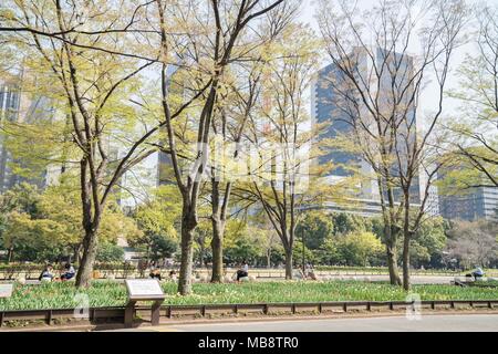 La molla in scena al Parco Hibiya, Chiyoda-Ku, Tokyo, Giappone Foto Stock