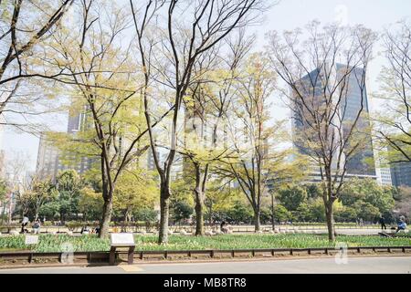 La molla in scena al Parco Hibiya, Chiyoda-Ku, Tokyo, Giappone Foto Stock