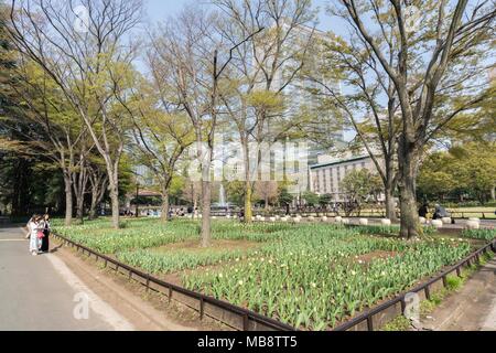 La molla in scena al Parco Hibiya, Chiyoda-Ku, Tokyo, Giappone Foto Stock