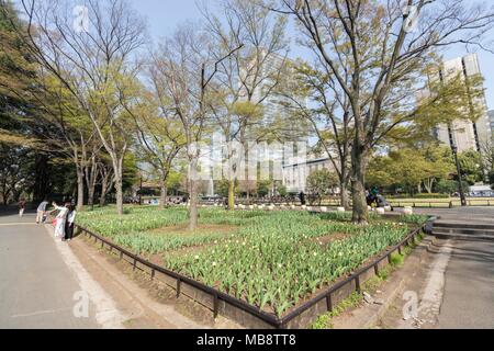 La molla in scena al Parco Hibiya, Chiyoda-Ku, Tokyo, Giappone Foto Stock