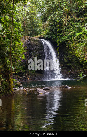 La cascata nel mezzo della giungla ecuadoriana Foto Stock