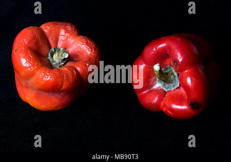 Rosso pepe ammuffito isolata su uno sfondo nero Foto Stock