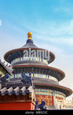 La sala di preghiera per i buoni raccolti con tetto ornato in primo piano e il Tempio del Paradiso complesso museale, Pechino, Cina Foto Stock