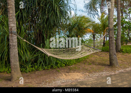 Un uncinetto amaca nei tropichi, sospeso tra due alberi, accanto a un percorso. Sullo sfondo sono alberi ombrosi e piante. Foto Stock