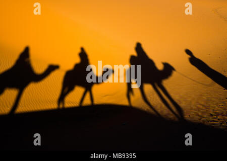 Caravan in viaggio e cammelli ombre sulla sabbia nel deserto del Sahara Foto Stock