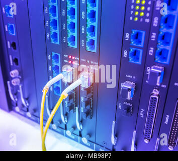 Cavo in fibra ottica collegato alla scheda di interfaccia di switch di rete Foto Stock