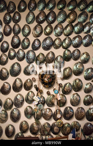 Fred e mirto Flutey's Paua Shell House, il Museo di Canterbury, Christchurch, Nuova Zelanda Foto Stock