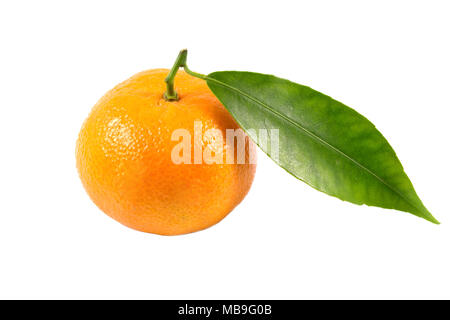 Sani frutti freschi frutti di colore arancione con foglie isolati su sfondo bianco, con un tracciato di ritaglio Foto Stock