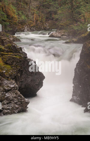 Little Qualicum Falls, Isola di Vancouver Foto Stock