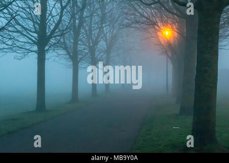 Warrington, Cheshire, Regno Unito. Il 9 aprile 2018. Una lampada accesa, strada alberata in Victoria Park, Warrington, Cheshire, Inghilterra, Regno Unito presto su una nebbia di mattina di lunedì 9 aprile 2018 Credit: John Hopkins/Alamy Live News Foto Stock