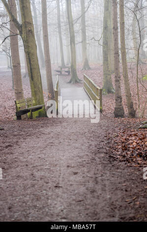 Thorndon Country Park, Brentwood, Essex, Regno Unito. Il 9 aprile 2018. Il 9 aprile 2018 una nebbia pesante è sceso su di Thorndon Country Park, Brentwood, Essex a metà pomeriggio. Il parco è molto popolare con cane locale degli scuotipaglia e ramblers.Credit Ian Davidson/Alamy Live News Foto Stock