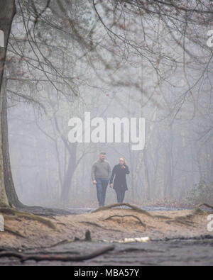 Thorndon Country Park, Brentwood, Essex, Regno Unito. Il 9 aprile 2018. Il 9 aprile 2018 una nebbia pesante è sceso su di Thorndon Country Park, Brentwood, Essex a metà pomeriggio. Il parco è molto popolare con cane locale degli scuotipaglia e ramblers.Credit Ian Davidson/Alamy Live News Foto Stock