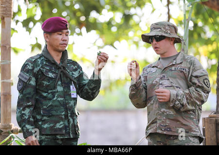 Royal Thai Army Sgt. Attapon Pongtub, leader di un team con la 3a lungo raggio società Patrol, terza divisione di fanteria, E DEGLI STATI UNITI Pfc dell'esercito. Alex Davis, un fante con Delta Company, 1° Battaglione, XXI Reggimento di Fanteria, seconda della brigata di fanteria combattere la squadra, XXV divisione di fanteria, campione in una varietà di alimenti durante la formazione della giungla, febbraio 12, 2018 a Camp amicizia in Korat, Regno di Thailandia. Davis indossa l'esercito della nuova giungla sperimentale uniforme. La giungla di formazione è parte di esercizio Cobra oro 18, che cerca di aumentare la cooperazione, l'interoperabilità e la collaborazione tra i partner n Foto Stock