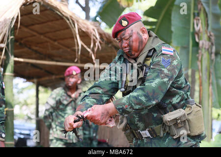 Royal Thai Army Sgt. Weerachai Pungsri, leader di un team con la 3a lungo raggio società Patrol, terza divisione di fanteria, dimostra come preparare un pollo da cuocere durante la formazione della giungla, febbraio 12, 2018 a Camp amicizia in Korat, Regno di Thailandia. Durante la formazione, Royal Thai soldati dell'esercito degli Stati Uniti e Soldati da Delta Company, 1° Battaglione, XXI Reggimento di Fanteria, seconda della brigata di fanteria combattere la squadra, XXV divisione di fanteria, imparato una varietà di competenze per aiutarli a sopravvivere nella giungla, compreso come costruire un incendio e come trappola per la fauna selvatica. La giungla della formazione è stato parte di esercizio di Co Foto Stock