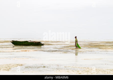 ZANZIBAR, TANZANIA - gennaio 05: Sconosciuto Zanzibar gli agricoltori di alghe marine in panni tradizionali faming alghe marine in bassa marea oceano su Paje beach, Zanzibar, Tanz Foto Stock