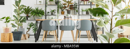 Bianco sala da pranzo interno con tavolo in legno e sedie di colore grigio e di piante in vaso sul pavimento e scaffali Foto Stock