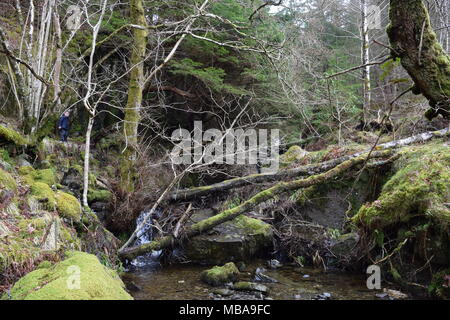 'Loch Katrine trossachs Highlands della Scozia'trossachs'highlands' 'Scotland'steamship' 'sir walter scott" "la signora del lago' 'beinn chabbair'. Foto Stock