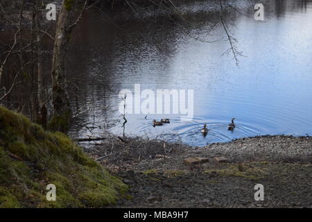 'Loch Katrine trossachs Highlands della Scozia'trossachs'highlands' 'Scotland'steamship' 'sir walter scott" "la signora del lago' 'beinn chabbair'. Foto Stock