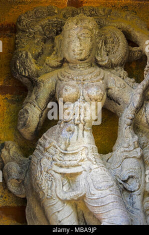 Idolo scolpito sulla parete interna del tempio, sul modo di Thanjavur, Tamil Nadu, India Foto Stock