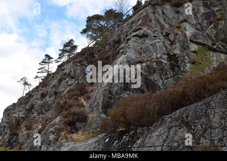 'Loch Katrine trossachs Highlands della Scozia'trossachs'highlands' 'Scotland'steamship' 'sir walter scott" "la signora del lago' 'beinn chabbair'. Foto Stock