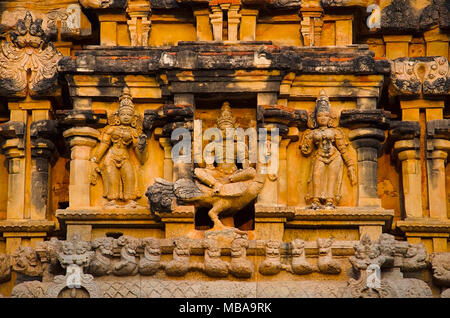 Colonne scolpite e idoli sulla parete esterna del tempio Brihadishvara, Thanjavur, Tamil Nadu, India. Tempio indù dedicato a Shiva, è uno Foto Stock