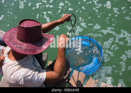 Aeratore ruota di turbina ossigeno ins di riempimento in acqua di lago Foto Stock