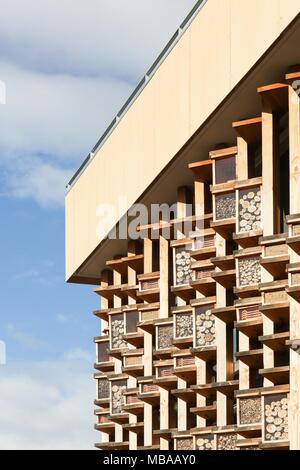 Alberghi di insetto su una parete di un edificio Foto Stock