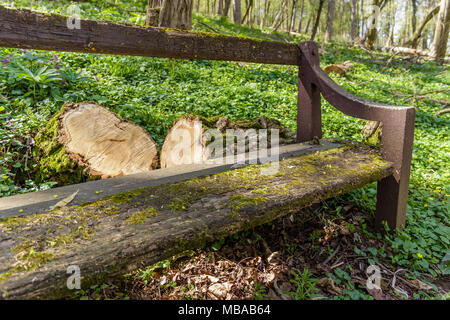 Vecchia panca di legno ricoperta di muschio, del tronco e il moncone accanto a lei sull'erba verde nel parco, vicino fino Foto Stock