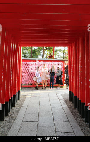 La linea di gate Shinto, e le ragazze prendendo selfie alla fine del tunnel. Prese a Inuyama Santuario, Giappone - Febbraio 2018 Foto Stock