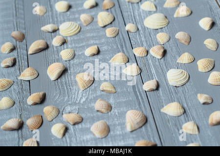 Un sacco di piccole conchiglie sulla luce sullo sfondo di legno Foto Stock