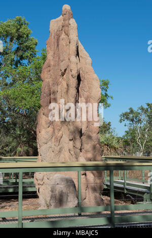 Una Cattedrale Termite Mound nel Parco Nazionale di Litchfield, Territorio del Nord, l'Australia. Foto Stock