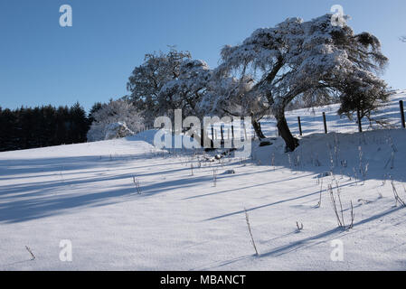 Inverno sopra Ponte Romanno nei confini scozzesi Foto Stock