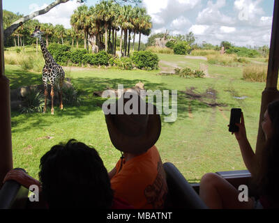 Walt Disney World Regno Animale visitatori osservare una giraffa, Orlando, Florida 2017 © Katharine Andriotis Foto Stock