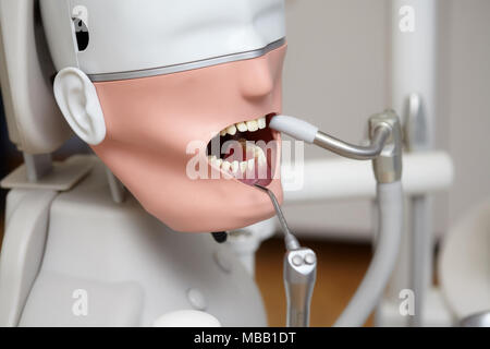 Manichino o dummy per il dentista gli studenti in formazione Facoltà di odontoiatria di medici scuole e università Foto Stock