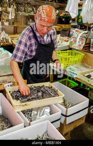 Tokyo Japan,Orient,Tsukiji Fish Market,shopping shopper shopping negozi negozi mercati acquisti vendita, negozi al dettaglio negozi business business business business, kanji, hirag Foto Stock